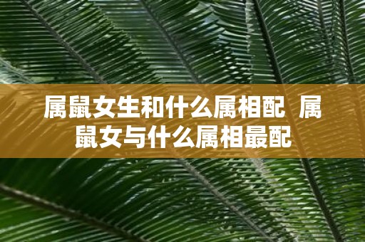 属鼠女生和什么属相配 属鼠女与什么属相最配