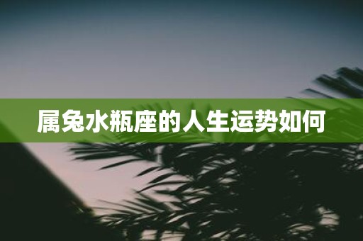 属兔水瓶座的人生运势如何
