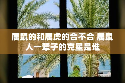 属鼠的和属虎的合不合 属鼠人一辈子的克星是谁