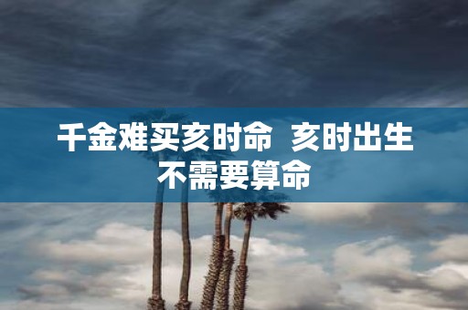 千金难买亥时命 亥时出生不需要算命