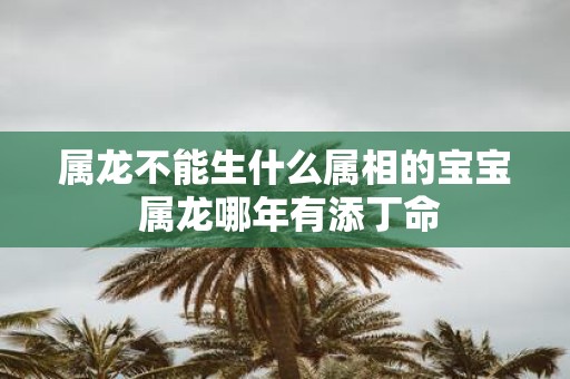 属龙不能生什么属相的宝宝 属龙哪年有添丁命