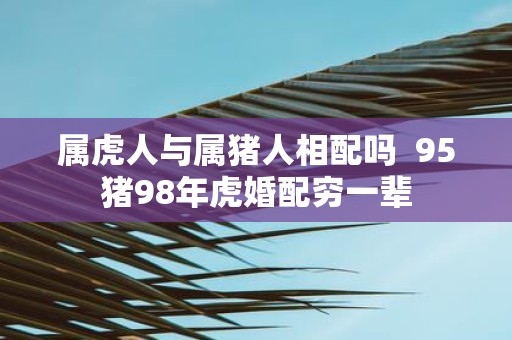 属虎人与属猪人相配吗 95猪98年虎婚配穷一辈