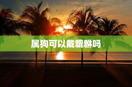 属狗可以戴貔貅吗
