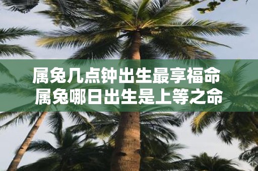 属兔几点钟出生最享福命 属兔哪日出生是上等之命