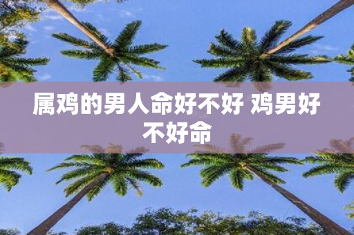 属鸡的男人命好不好 鸡男好不好命