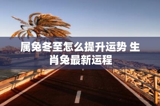属兔冬至怎么提升运势 生肖兔最新运程