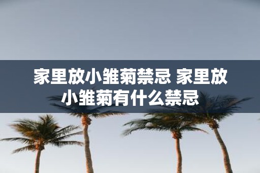 家里放小雏菊禁忌 家里放小雏菊有什么禁忌