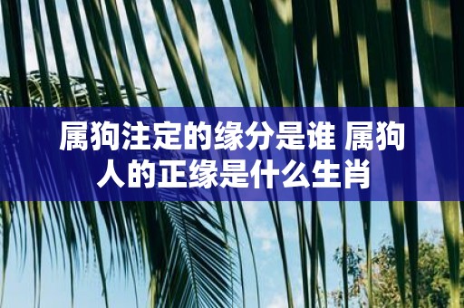 属狗注定的缘分是谁 属狗人的正缘是什么生肖