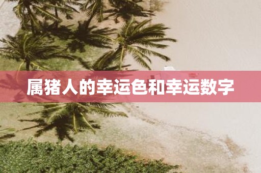 属猪人的幸运色和幸运数字
