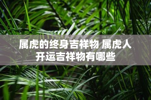 属虎的终身吉祥物 属虎人开运吉祥物有哪些