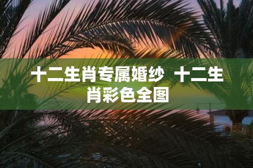 十二生肖专属婚纱 十二生肖彩色全图