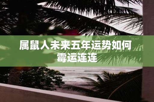 属鼠人未来五年运势如何 霉运连连