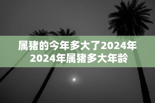属猪的今年多大了2025年 2025年属猪多大年龄