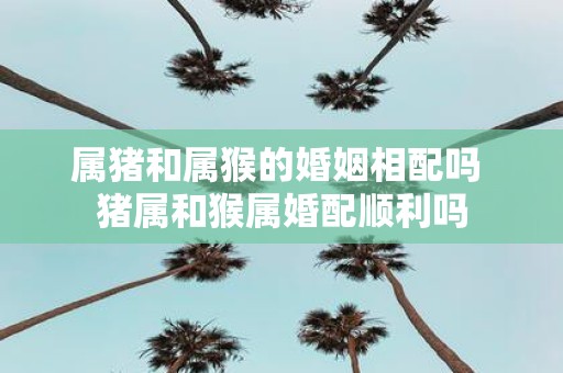 属猪和属猴的婚姻相配吗 猪属和猴属婚配顺利吗