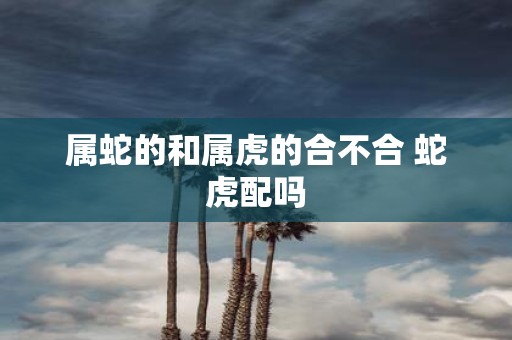 属蛇的和属虎的合不合 蛇虎配吗