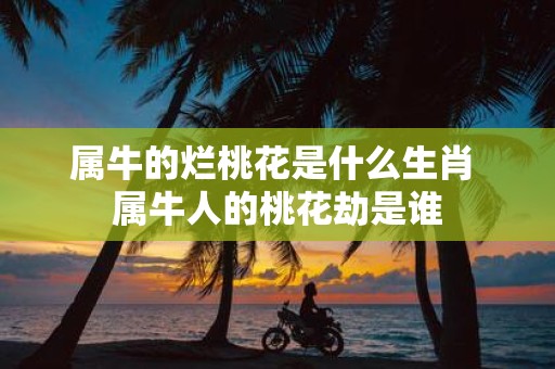 属牛的烂桃花是什么生肖 属牛人的桃花劫是谁