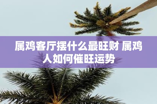 属鸡客厅摆什么最旺财 属鸡人如何催旺运势