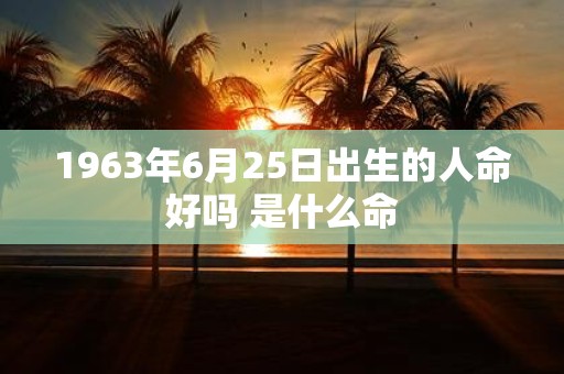 1963年6月25日出生的人命好吗 是什么命
