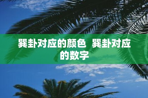 巽卦对应的颜色 巽卦对应的数字