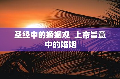 圣经中的婚姻观 上帝旨意中的婚姻