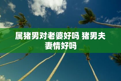 属猪男对老婆好吗 猪男夫妻情好吗