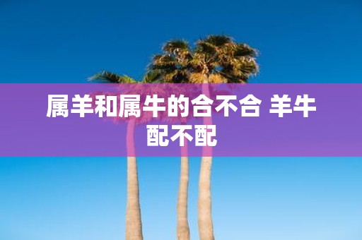 属羊和属牛的合不合 羊牛配不配
