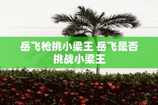 岳飞枪挑小梁王 岳飞是否挑战小梁王