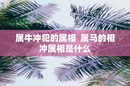 属牛冲犯的属相 属马的相冲属相是什么