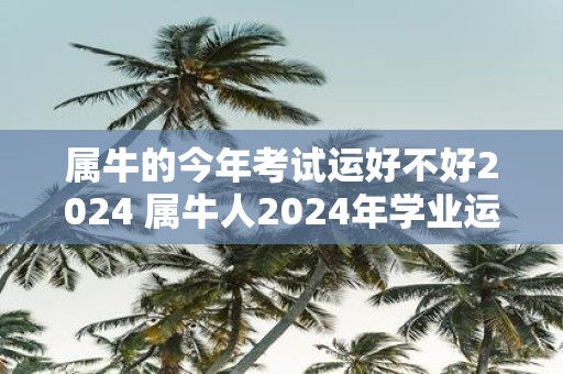 属牛的今年考试运好不好2025 属牛人2025年学业运势