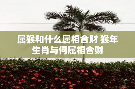 属猴和什么属相合财 猴年生肖与何属相合财