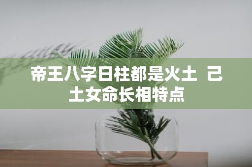 帝王八字日柱都是火土 己土女命长相特点