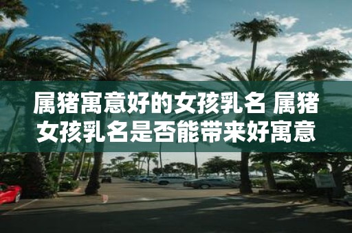 属猪寓意好的女孩乳名 属猪女孩乳名是否能带来好寓意