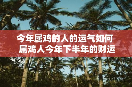 今年属鸡的人的运气如何 属鸡人今年下半年的财运如何