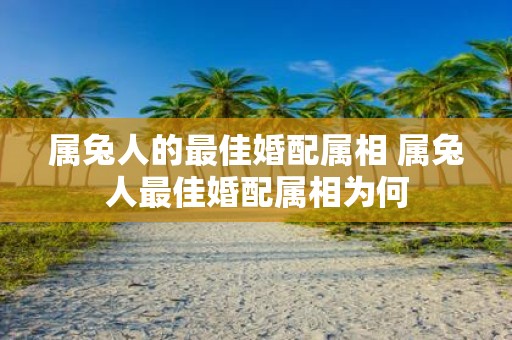 属兔人的最佳婚配属相 属兔人最佳婚配属相为何