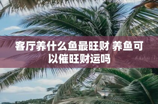 客厅养什么鱼最旺财 养鱼可以催旺财运吗