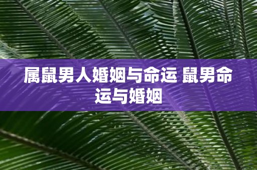 属鼠男人婚姻与命运 鼠男命运与婚姻