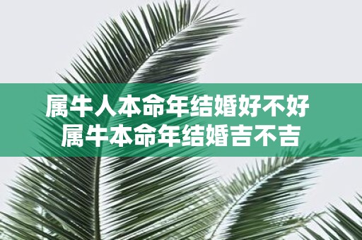 属牛人本命年结婚好不好 属牛本命年结婚吉不吉