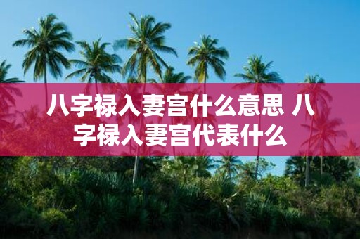八字禄入妻宫什么意思 八字禄入妻宫代表什么