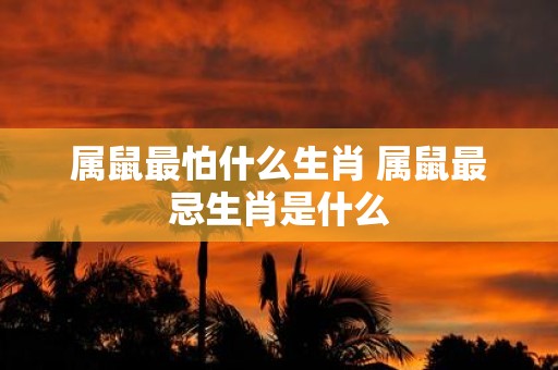 属鼠最怕什么生肖 属鼠最忌生肖是什么
