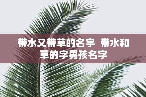 带水又带草的名字 带水和草的字男孩名字