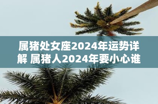 属猪处女座2025年运势详解 属猪人2025年要小心谁