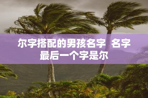 尔字搭配的男孩名字 名字最后一个字是尔