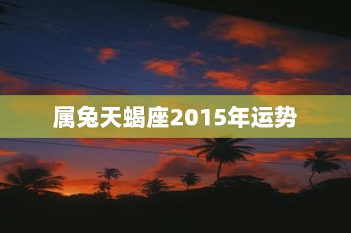 属兔天蝎座2015年运势