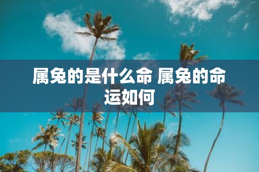 属兔的是什么命 属兔的命运如何