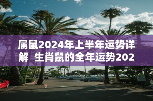 属鼠2025年上半年运势详解 生肖鼠的全年运势2025