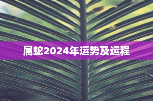 属蛇2025年运势及运程