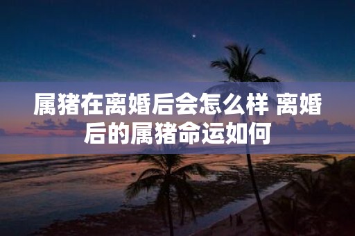 属猪在离婚后会怎么样 离婚后的属猪命运如何