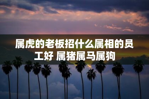 属虎的老板招什么属相的员工好 属猪属马属狗