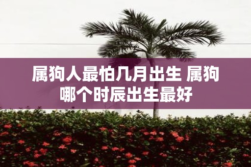 属狗人最怕几月出生 属狗哪个时辰出生最好