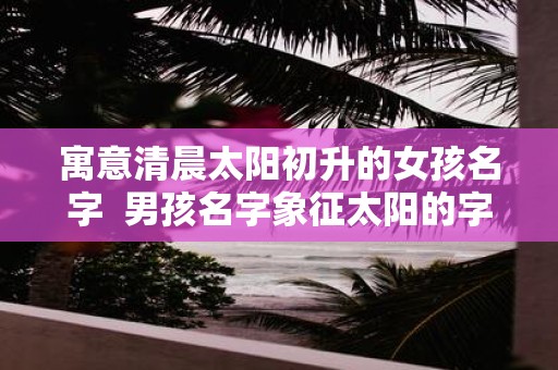 寓意清晨太阳初升的女孩名字 男孩名字象征太阳的字
